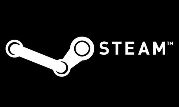 STEAM GAME